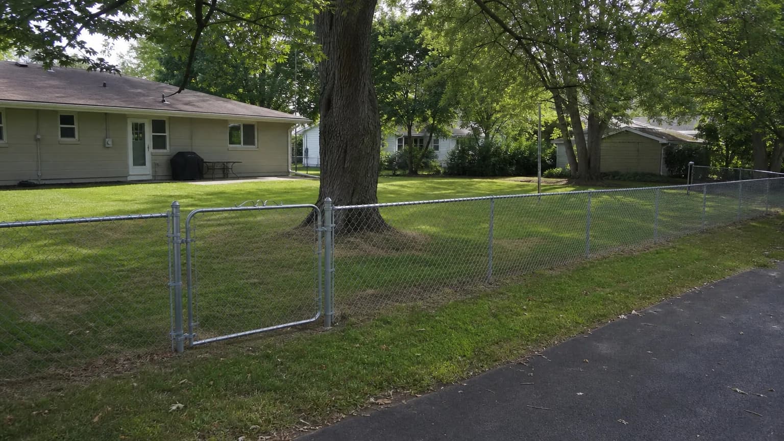 Four-foot galvanized chain link fence with a walk gate around a backyard under tall trees